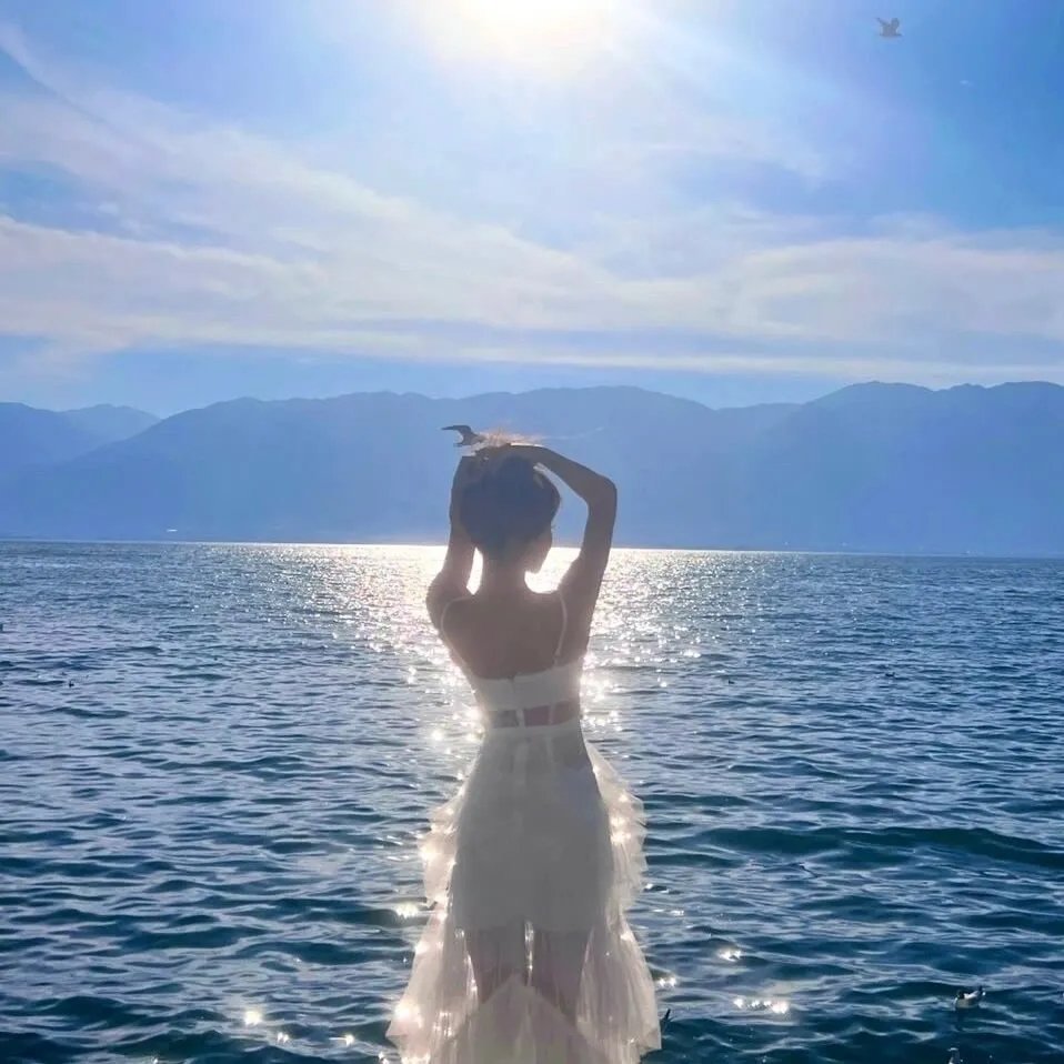 一切要从一只蜘蛛说起